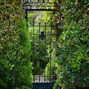 Meet your Posher, S.